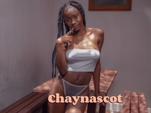 Chaynascot