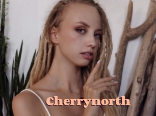 cherrynorth Chatte Rasée