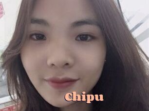 chipu Chatte Rasée