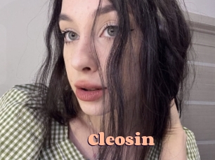 Cleosin