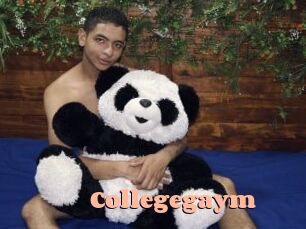 Collegegaym