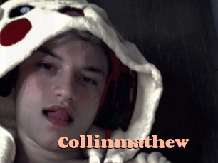 collinmathew Chatte Rasée
