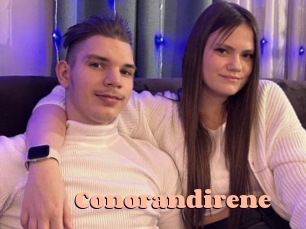 conorandirene Chatte Rasée