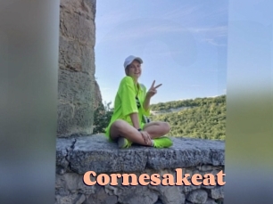 cornesakeat Chatte Rasée