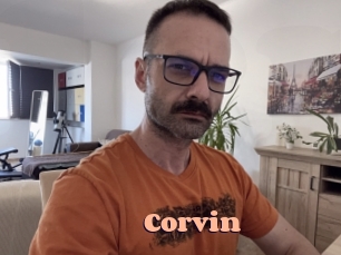 corvin Chatte Rasée