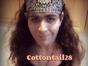 Cottontail28
