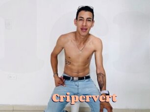 cripervert Chatte Rasée