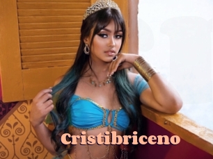 cristibriceno Chatte Rasée