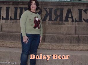 Daisy_Bear