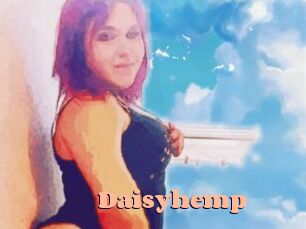 Daisy_hemp