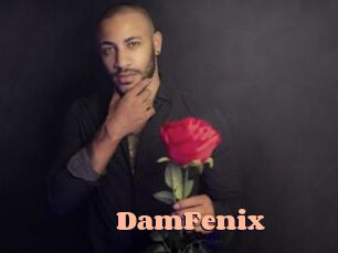 DamFenix