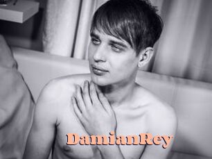 DamianRey Chatte Rasée