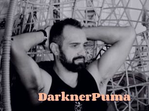 DarknerPuma