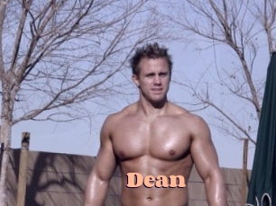 Dean Chatte Rasée