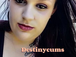 Destinycums Chatte Rasée