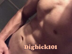 Digbick101