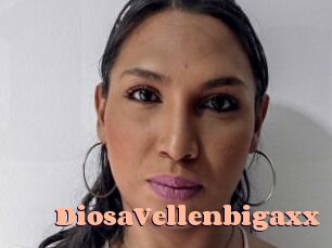 DiosaVellenbigaxx