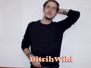 DitrihWild
