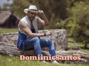 DomiinicSantos