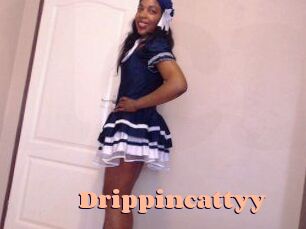 Drippincattyy