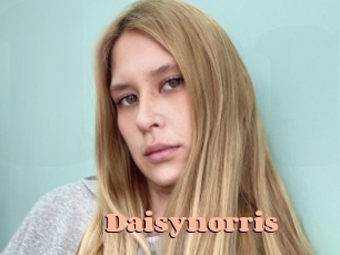 Daisynorris