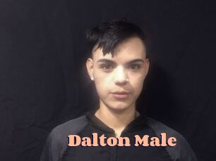 Dalton_Male
