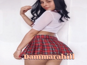 Dammarahill
