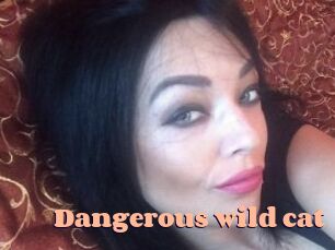 Dangerous_wild_cat