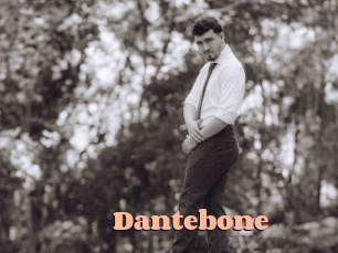 dantebone Chatte Rasée