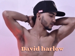 David_harlow