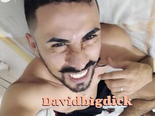 davidbigdick Chatte Rasée