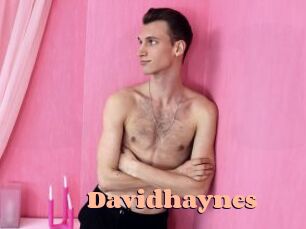 Davidhaynes
