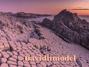davidhmodel Chatte Rasée
