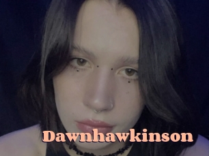 Dawnhawkinson