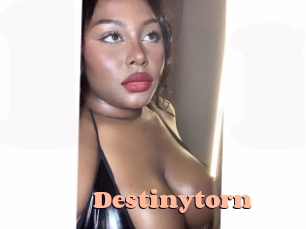 destinytorn Chatte Rasée