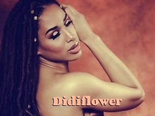 Didiflower