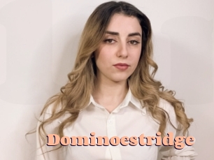Dominoestridge