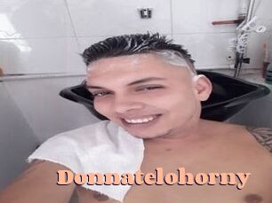 Donnatelohorny