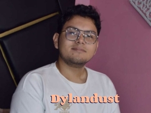 Dylandust