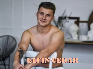 ELFIN_CEDAR