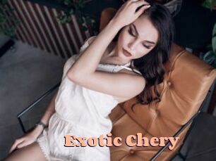 Exotic_Chery Chatte Rasée
