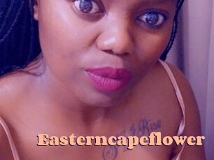 Easterncapeflower