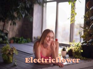 Electricflower