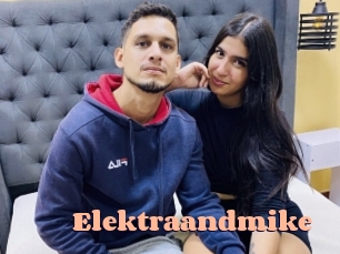 Elektraandmike