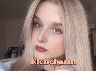 elenebarns Chatte Rasée