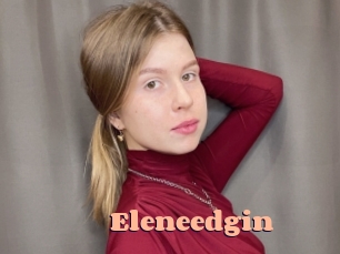 Eleneedgin