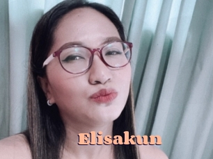 Elisakun
