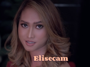 Elisecam