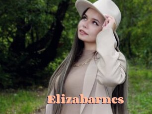 Elizabarnes
