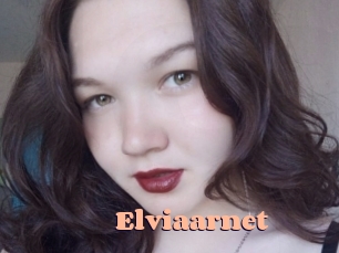 Elviaarnet
